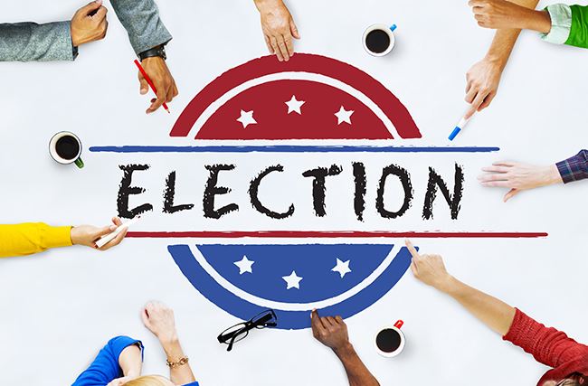 Election Vote Democracy Referendum-website