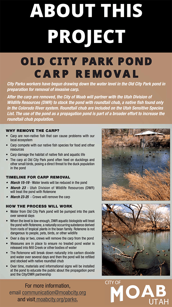Carp Removal Project Opens in new window