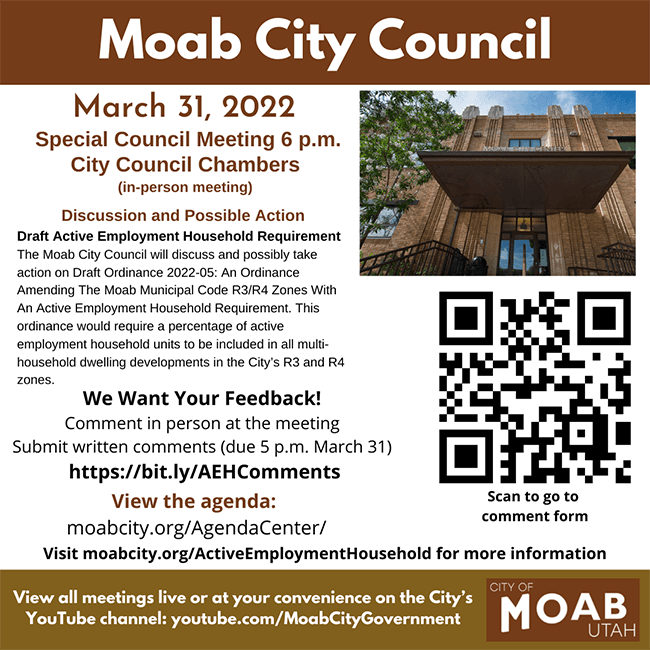 City Council March 31 Special Meeting2-for web