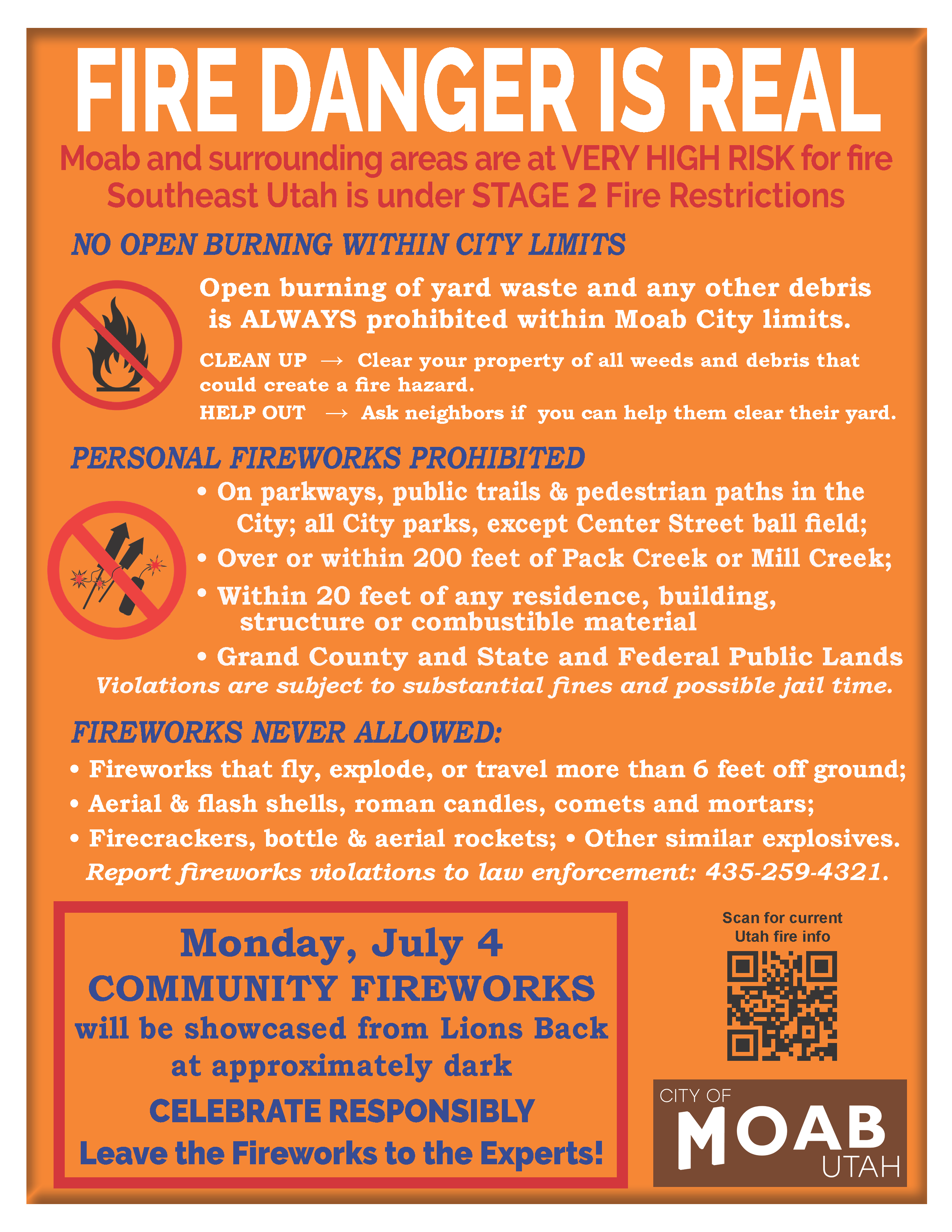 Fire and Fireworks Poster